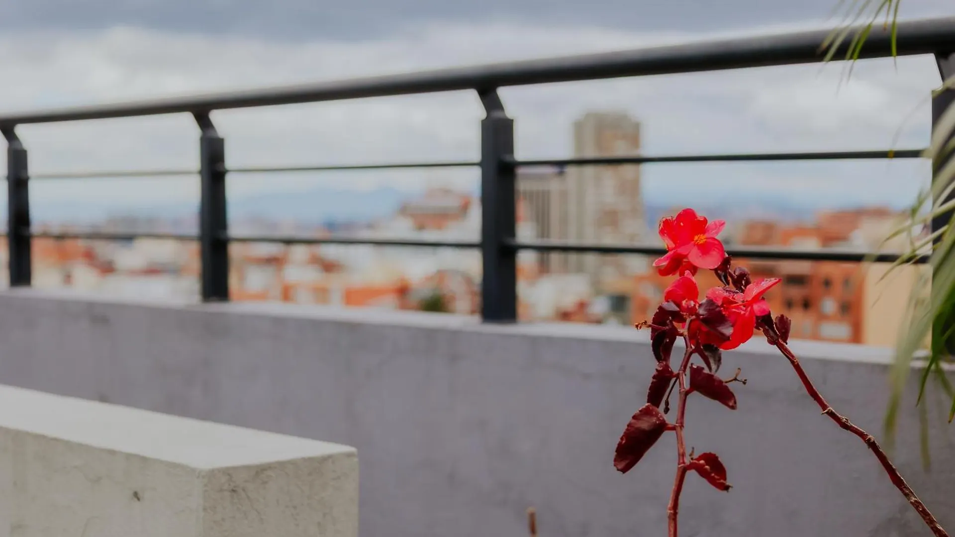 Moderno Estudio Con Gimnasio, Terraza Y Coworking En Bogota Colombia